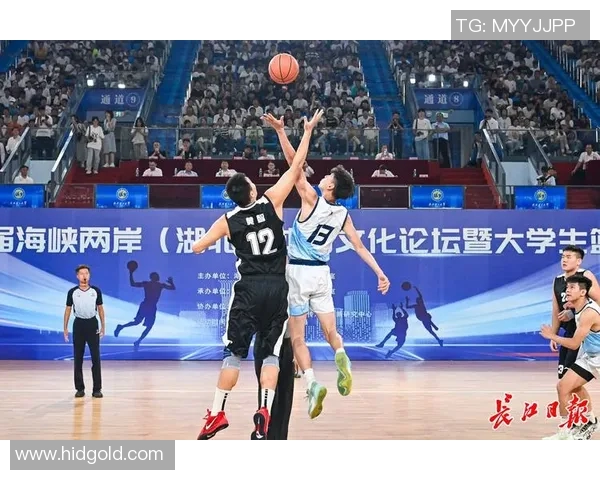 篮球节目明星的魅力与挑战探讨以及他们对篮球文化的深远影响